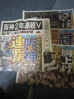 阪神タイガース 優勝・三冠王 号外セット