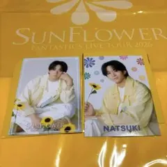 FANTASTICS 澤本夏輝 フォトカ 2枚セット