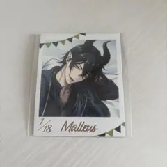 ツイステッドワンダーランド ツイステ フォト風カード くつろぎ マレウス