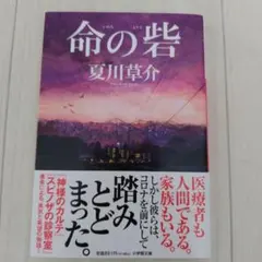 命の砦
