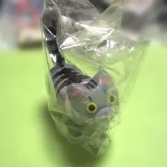 ガチャガチャ ねこべこ マスコット サバトラ