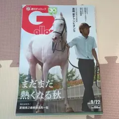 週刊ギャロップ　2004年　全巻 2025年最新】Yahoo!オークション -週刊ギャロップ 2004の中古品