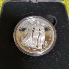 資産】100枚 2019 Glacier Silver Eagle 1oz - メルカリ