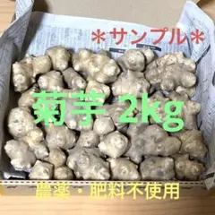 農薬•肥料不使用　菊芋　2kg以上