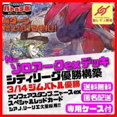 3/14優勝 Nのゾロアークex デッキ シティリーグ優勝構築済デッキ