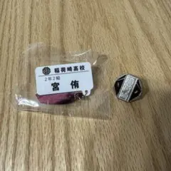 ハイキュー コレクション缶バッジ