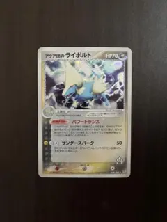 2025年最新】アクア団のライボルトの人気アイテム - メルカリ