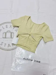 ALEXIASTAM 水着　新品未使用タグ付き ALEXIA STAM（水着）のフリマアイテム一覧