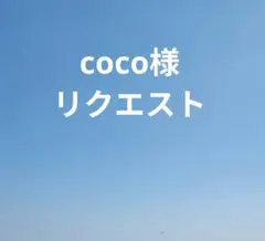 coco様 リクエスト 10点 まとめ商品