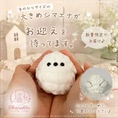 ゆかりん様専用】部屋んぽソファーのリバーシブルラグのみ(8枚)無地