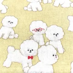 ★ビジョン・フリーゼ★110×30★コスモテキスタイル