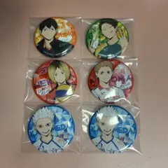 ハイキュー 缶バッジまとめ売り