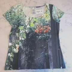 Item thumbnail for item 698bb92a-9a21-4632-b7e1-5793c28a10a1