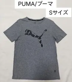 PUMA プーマ Tシャツ グレー Sサイズのサムネイル