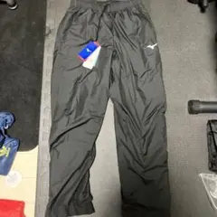 Item thumbnail for item fe988867-e838-46ea-a99d-656185f75f40