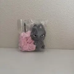 RIIZE ウォンビン トニャンドク シュシュ - メルカリ
