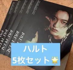 ハルト 5枚セット treasure lovepulse 新品未開封