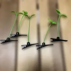ヘアピン 5本セット 芽 モチーフ②