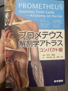 Item thumbnail for item 3a950451-3ea8-4567-9439-0f97933f1059