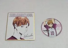 ハイキュー アニメイトカフェ コースター 白鳥沢学園 白布賢二郎