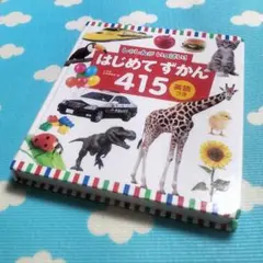 しゃしんがいっぱい！✨はじめて ずかん 415 英語つき✨０歳〜4歳児向け