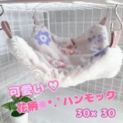 Item thumbnail for item 81d84849-8b30-4943-a744-707cd2e041b7