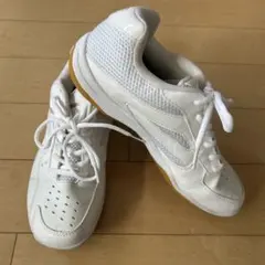 Item thumbnail for item fc2c7ce7-9cb5-4040-b3b5-324555f3ccbc