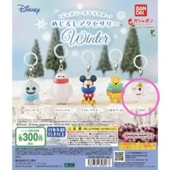 ディズニー めじるしアクセサリー Winter