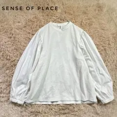 SENSE OF PLACE カットソーブラウス バンドカラー ホワイト F