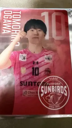 大谷翔平 選手 2017 日本ハムファイターズ 試合日程＆選手名鑑 ミニ