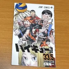 【ハイキュー】劇場版来場者特典小冊子33.5巻