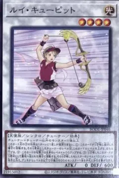 遊戯王　ヤミーデッキ　新制限対応　ルイキューピット採用 新制限ヤミー デッキ解説｜れい