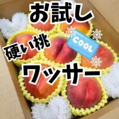 ★お試し小玉サイズ★クール便★ 山形県産　硬い桃　ワッサー　ご家庭用　桃のサムネイル