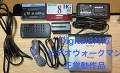 Item thumbnail for item f35d76a1-8cf8-437b-9f7b-86b6993a654c