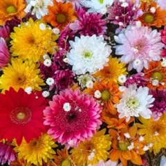 希美様 リクエスト 6点 まとめ商品