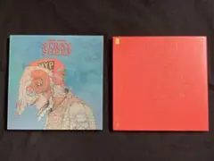STRAY SHEEP(アートブック盤)