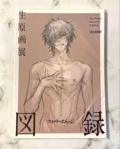 スロウ・ダメージ　生原画展　図録　スロダメ Slow Damage 新品翌日発送】スロウダメージ 生原画展 図録 - メルカリ