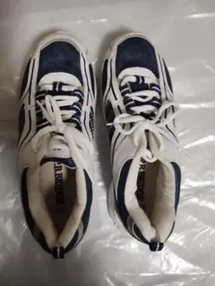 Item thumbnail for item fe1673f0-94c2-400c-b819-7b5550b63f16