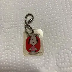 ◼️サーティワン　スヌーピー　アクリル　キーホルダー◼️