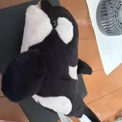 名古屋港水族館 シャチ ぬいぐるみ マスコット