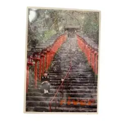 Item thumbnail for item dc39c727-c347-4c3f-a0c3-8b4cdfdd39e1