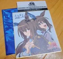 手描きイラスト ミニ色紙 寸松庵 ウマ娘 アドマイヤベガ 勝負服 - メルカリ