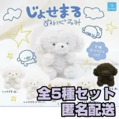 じょせまる ぬいぐるみ ★全5種セット★新品★匿名配送★ ガチャガチャ