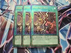 遊戯王　Stake Your Soul！ レリーフ 3枚