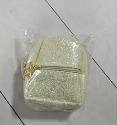 ★ゴールドグリッターミニリュック小物入れ