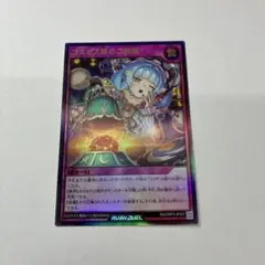 コスモス姫の