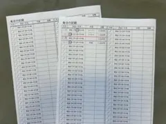 家計簿　枠のみ　お試し　簡単　A4　買物の記録　1枚　初心者　金額