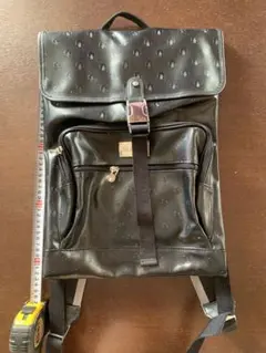 値下げ！✨ニュースキン　ジェーンロックリュック