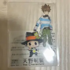 天野明展 クリアカード 入場者特典 ブロマイド 沢田綱吉 ツナ リボーン