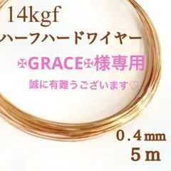 ✠GRACE✠様専用　14kgf ワイヤー　0.4ミリ　10m 0.5ミリ5m